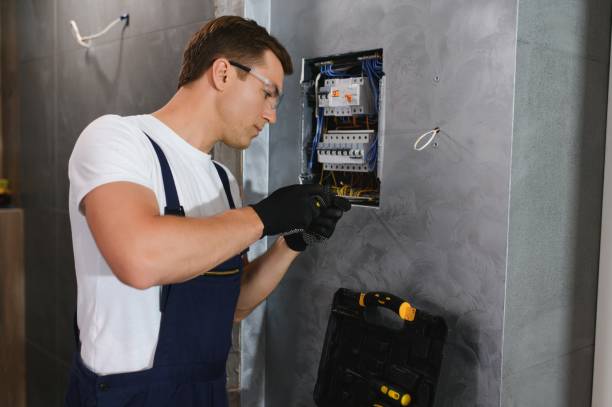 Best Ceiling Fan Installation Electrician  in Lincoln, IL